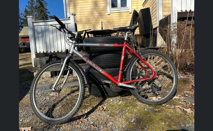 Peugeot Competition-kuva-1